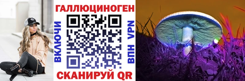 даркнет сайт  Тавда  Галлюциногенные грибы Psilocybine cubensis 