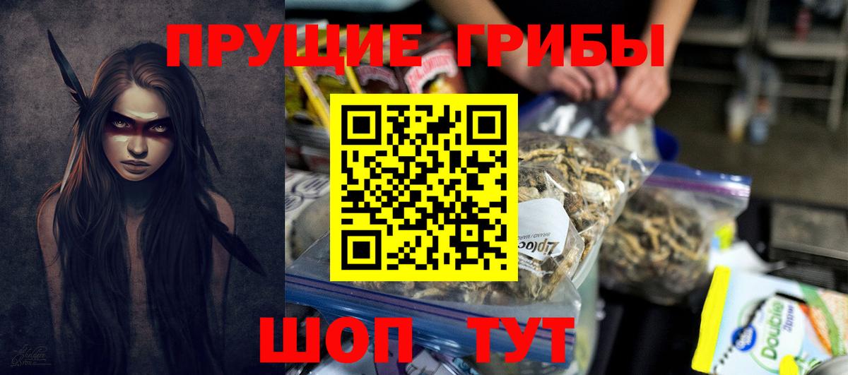 Тавда  Псилоцибиновые грибы MAGIC MUSHROOMS  Вход с VPN 